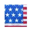 Servilleta chica americana Import.20u