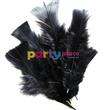 Plumas negras 10u