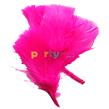 Plumas fucsias 10u