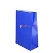 Bolsa con base lisa azul 10u