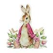 Adorno reversible gde Peter Rabbit rosa