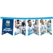 Banderin rectangulos AFA campeones