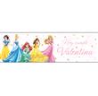 Banner de papel Princesas Pers