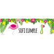 Banner de papel Flamenco Pers. (fondo blanco)