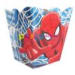 Pochocleras Hombre Araña 6u