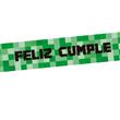 Fajas grandes MINECRAFT 4u