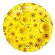 Plato Girasoles 10u