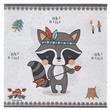 Servilleta Mapache 20u