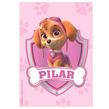 Stickers rect. gdes. Paw patrol Skyle 16u Pers