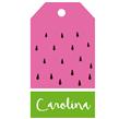 Tarjetas largas con cinta Sandía 24u Pers