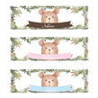 Banner de papel Teddy Bear Pers.