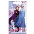 Bolsitas FROZEN 10u