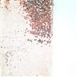 Camino lentejuelas rose gold