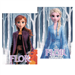 Carpita cartel Frozen 2u Pers