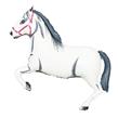 Globo Caballo blanco 80cm