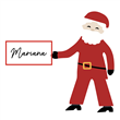 Identificador Papa Noel Festive 10u