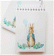 Libretita Peter Rabbit Pers