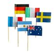 Pinches bandera de paises 50u