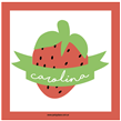 Stickers cuad. Frutillas 16u Pers