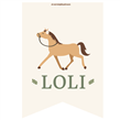 Stickers rect. gdes. Caballos 16u Pers