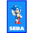 Stickers rect. gdes. Sonic 16u Pers