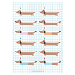 Stickers plancha Salchicha  1u