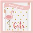 Tarjetitas Baby Flamenco 20u Pers