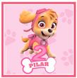 Tarjetitas Paw Patrol Skye 20u Pers