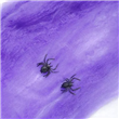 Tela de araña violeta