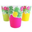 Vasos Flamenco 6u