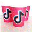 Vasos Tik Tok 6u