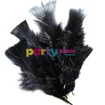 Plumas negras 10u