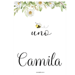 Afiche Pers. Abeja Bee