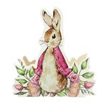 Adorno reversible gde Peter Rabbit rosa