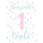 Afiche Pers. Pastel