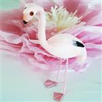 Flamenco plumas