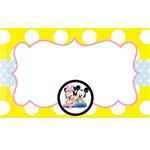 Identificador Minnie y Mickey Bebé 12u