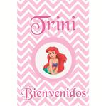 Afiche Pers. Sirenita Rosa