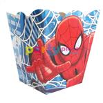 Pochocleras Hombre Araña 6u