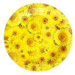 Plato Girasoles 10u