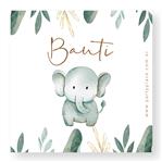 Stickers cuad. Baby Safari 16u Pers
