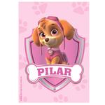 Stickers rect. gdes. Paw patrol Skyle 16u Pers