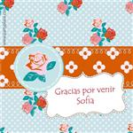 Tarjetitas Shabby Chic 20u Pers