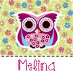 Stickers cuad. Búho 16u Pers