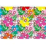 Individuales hawaianos 8u