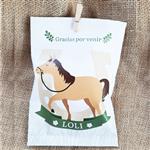 Bolsita sobre Pers. Caballos