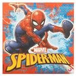 Servilleta Hombre Araña 20u