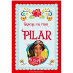 Stickers rectangulares Elena de Avalor 14u