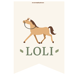 Stickers rect. gdes. Caballos 16u Pers