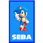 Stickers rect. gdes. Sonic 16u Pers